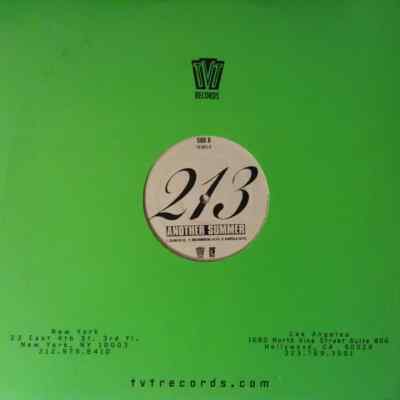 213 Groupie Luv Vinyl Single 12inch TVT Records