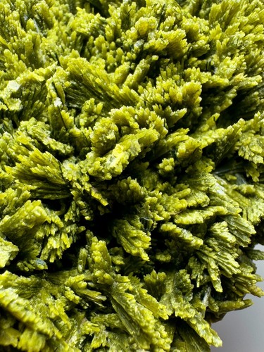 239 Grams Beautiful Shape Epidote Crystal Bunch From Baluchistan Pakistan. - Picture 9 of 16