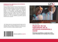 MedicióN De Los Indicadores De La Eficiencia EconóMica Y Social Grinan Buch 2025