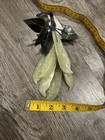 Chinese Carved Jade Peas MCM Vintage Fruit Art Decor 7” — photo 7
