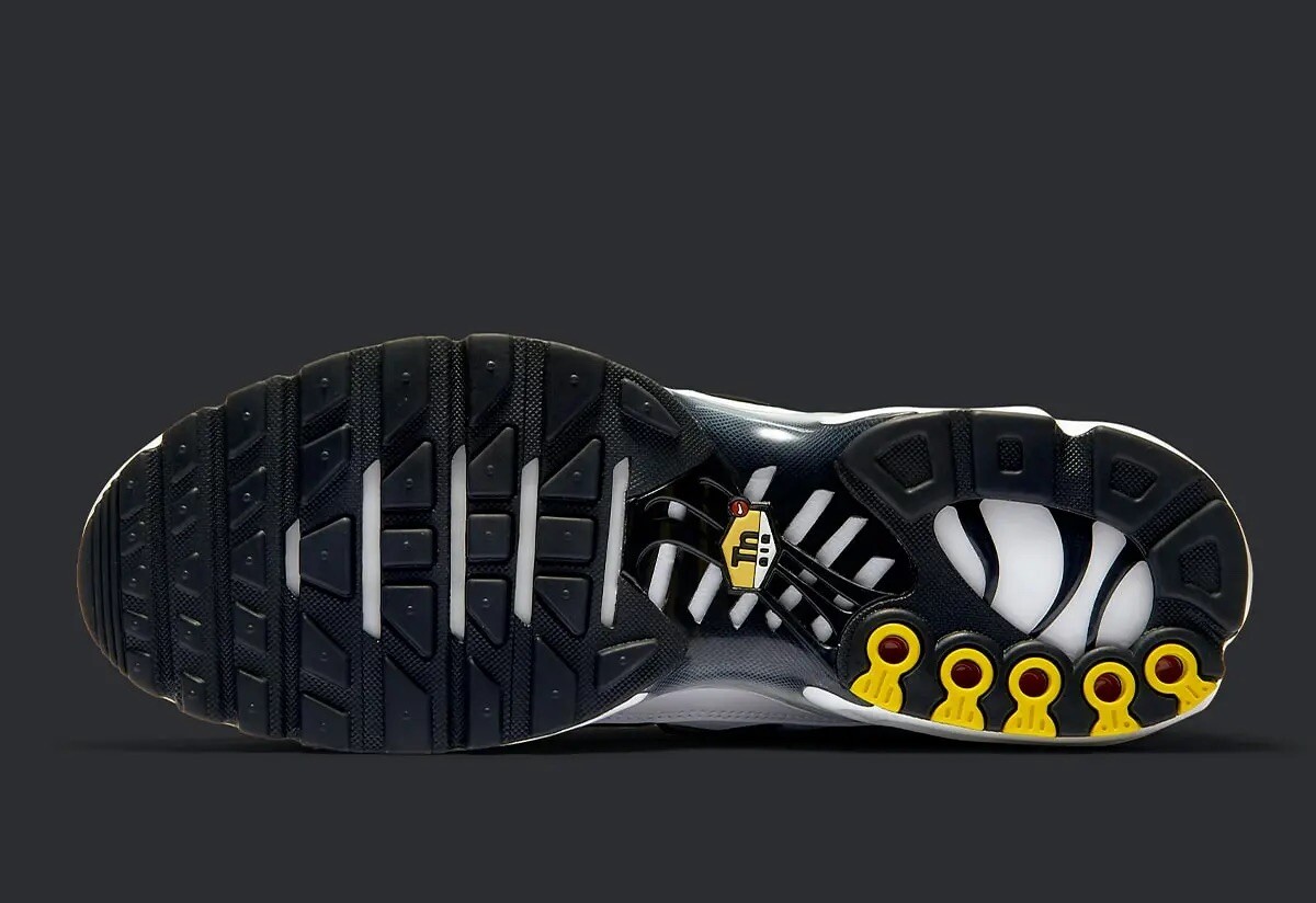 killer whale tns price