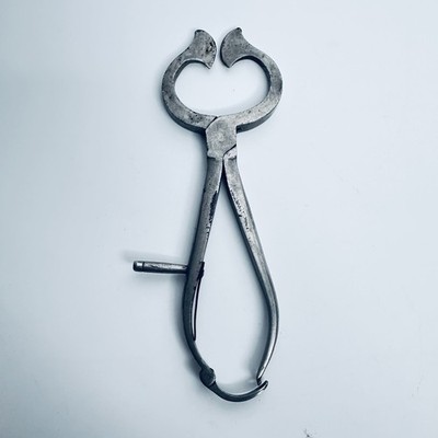 Antike verzierte Zuckerhut Zange Schneider 8'' Vintage Küchenwerkzeug