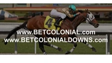 COLONIAL DOWNS Virginia Horse Racing Sports Betting Online Gambling Domain URLs