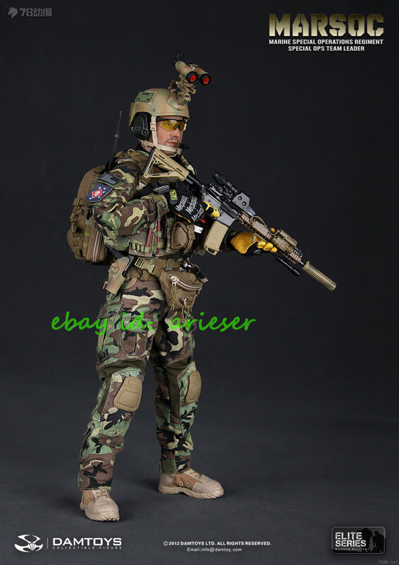 DAMTOYS製 Marsoc 1/6（約30cm）サイズのアクションフィギュア Perfect Dam 1/6 78006 Elite Series MARSOC Action Figure In Stock