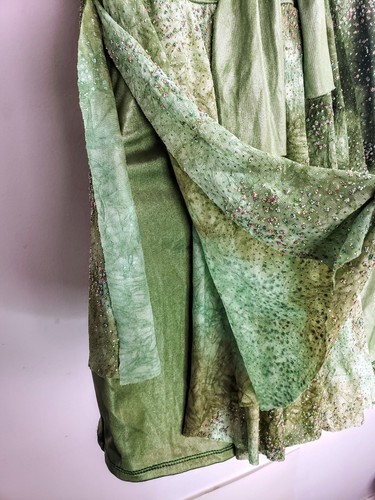 Mujer Adulto Mediano Verde Baile Leo Vestido Brillo Cuentas Flores CORTINA LLAMAR NUEVO SIN ETIQUETAS - Imagen 10 de 14