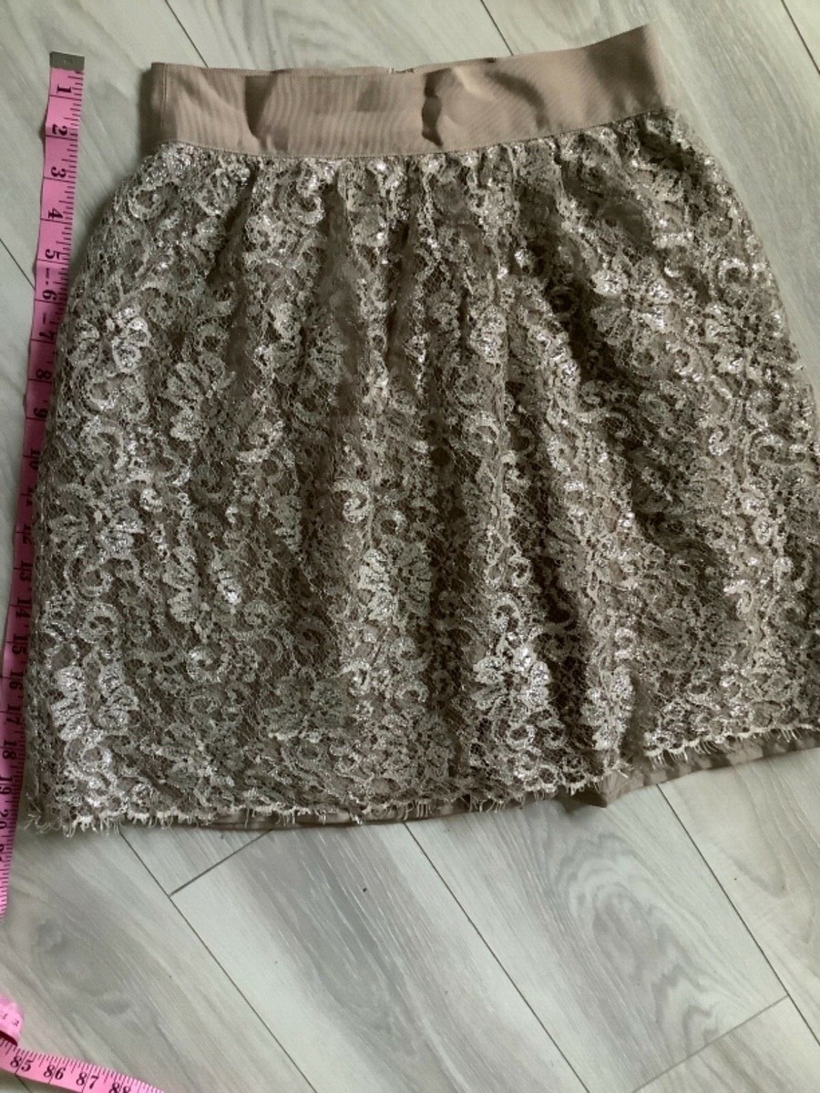 Metallic J Crew Lace Skirt NWOT XL Gwyneth Lace Trim Slip Skirt In