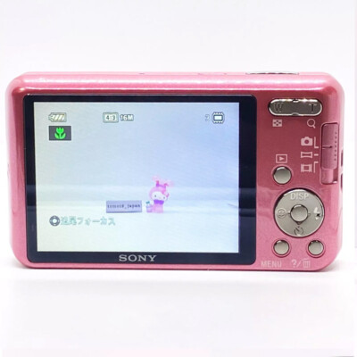 SONY Cyber-shot DSC-W570 16.1 MP Digital Camera W/ Battery English