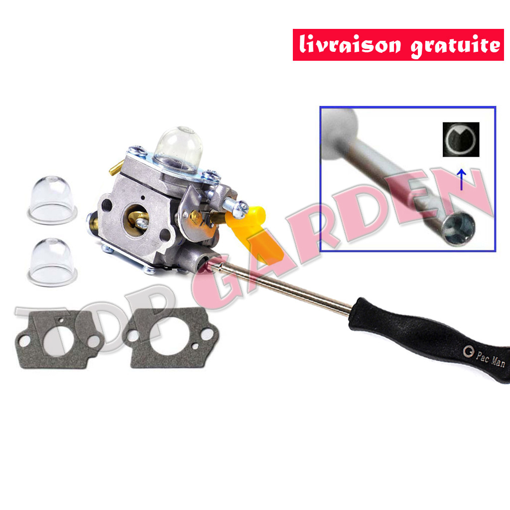 Carburateur + Tournevis Pour Ryobi RBC30SESA RLT30CESA RPR3025JA - Foto 2
