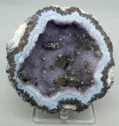 Whole Guaranteed Hollow Colorful Mexican Coconut Choyas Geodes, Mine Direct! - Afbeelding 6 van 10