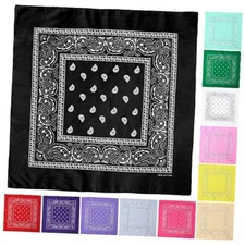  12 Pack Bandanas Multipurpose Cotton Novelty Paisley Bandana Assorted Group 2