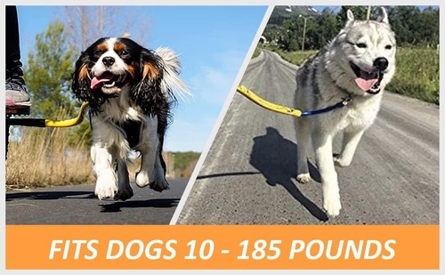 Lightweight & Safe Dog Bike Leash in Bright Orange - For Active Pet Owners - 第 6/7 張圖片
