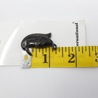Foto 5 di 5
