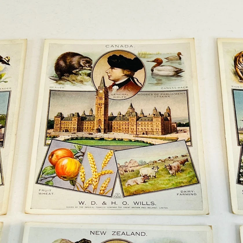 Wills The British Empire Cigarette Cards (Large) 6x Bundle c1930 Good Cond. - Image 3 of 4