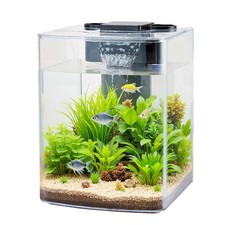 2 Gallon Fish Tank Aquarium Smart Arch Clear ...