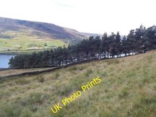Photo 6x4 Line of Trees above Woodhead Reservoir Crowden/SK0799 Windbrea c2015