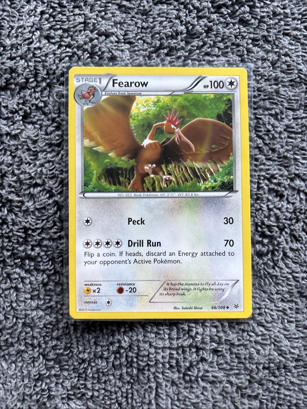 Fearow 66/108 Roaring Skies Regular