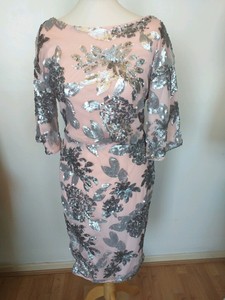 joanna hope silver dress