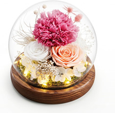 Long-Lasting Real Flowers - Unique Floral Gift for You to Send Love