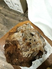  B72. Manzanita Burl Wood For Wood Projects, Turning Casting,