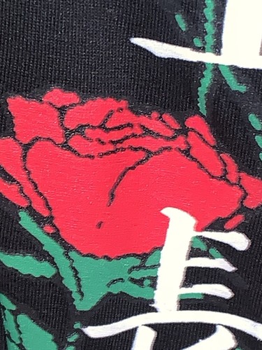 Fresh Laundry Adult "Old Growth" Skeleton & Rose Graphic Long Sleeve Shirt (2XL) - Picture 12 of 24
