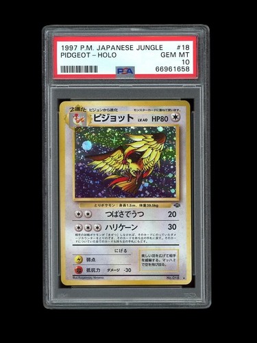 Pokemon PSA 10 GEM MINT 1997 Pidgeot Jungle Japanese Original Holo Card