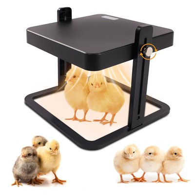 15 Chick Brooder/Heat Plate - Thermostatic for Chicks Ducklings Fledgling Quails