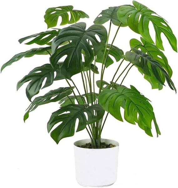 Kunstpflanze Monstera 55Cm Im Topf 12 BläTter Deko Zimmerpflanze KüNstlich-image