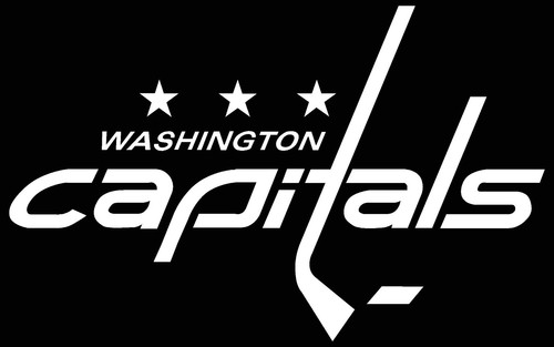 CAR DECAL VINYL STICKER WHITE 