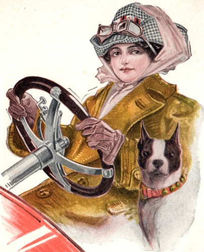 1900s Pretty Woman Drive Automobile American Boston Terrier Fred Tolman Postcard