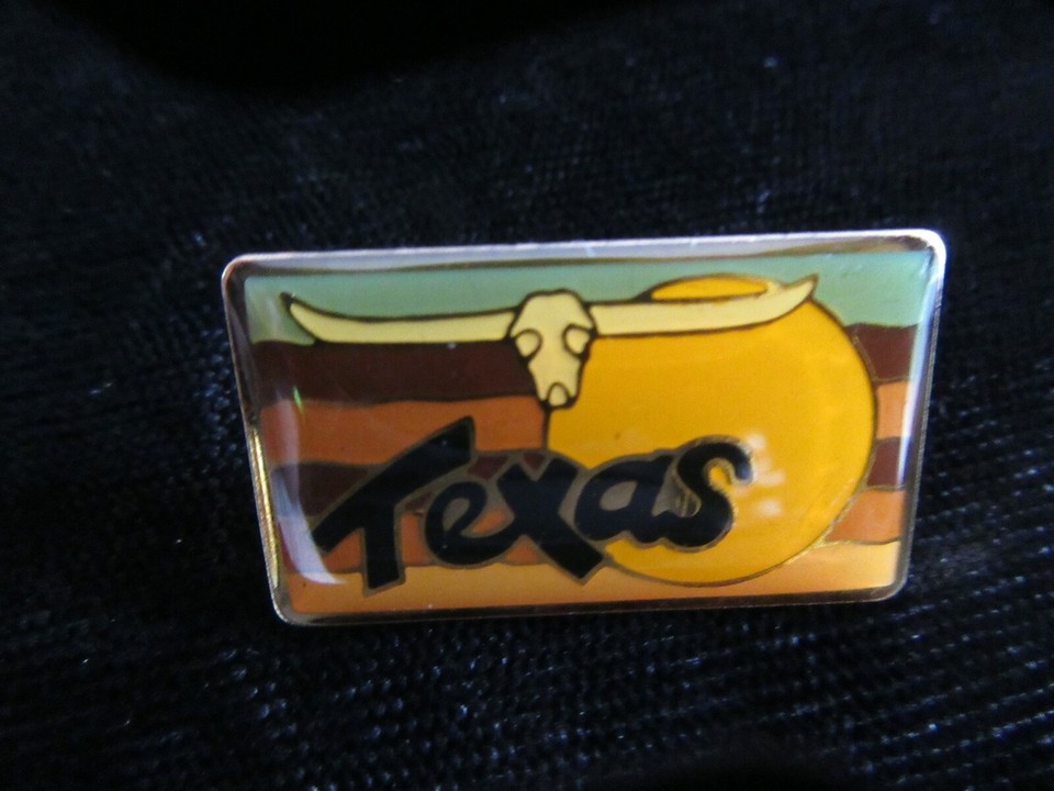 VINTAGE PIN TEXAS THE LONE STAR STATE LONGHORN SKULL eBay