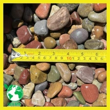 10 lbs Pastel River Rocks Size 1" to 2", Gravel Stone Pebbles Aquarium Terrarium