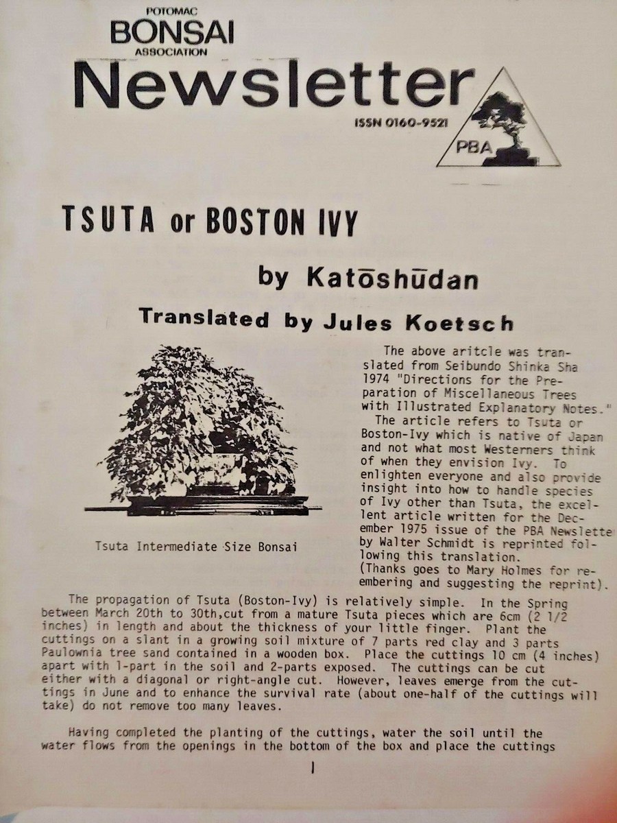 Lot of 17 Vintage Potomac Bonsai Association Newsletters Pamphlets  Arboretum J1 | eBay