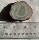 0.4"+ Thick MOROCCAN BERBER AGATE SLAB ~ 88 grams Tapered Cut/ rough  cab white — photo 10