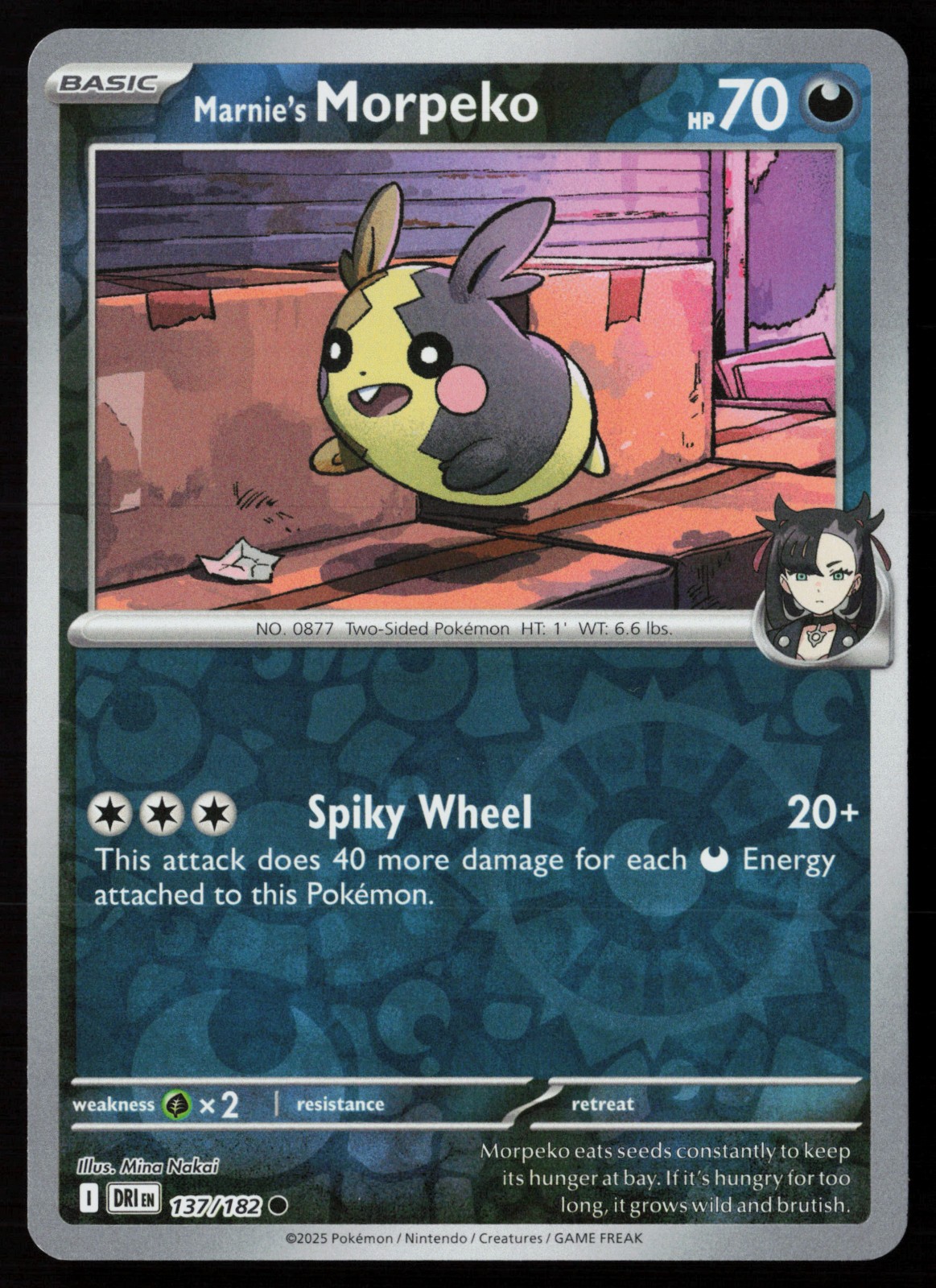Marnie's Morpeko 137/182 Reverse Holo Pokemon TCG SV10: Destined Rivals NM