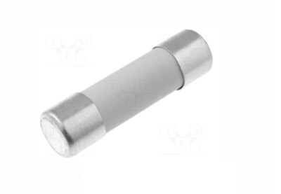 Izyx Systems F520T10AL250 | Fusibles Verre 5 X 20 Mm 10A / 250V AC Fusion Temporis&eacute; T - Lot De 10 Pc | Centrale De Gestion, UTL Et Module D'extension | Contr&ocirc;le