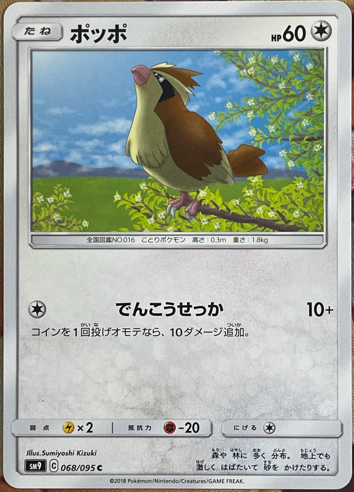 Pidgey - 068/095 C - Tag Bolt SM9 Pokemon TCG 2018