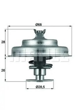 Thermostat Peugeot 604