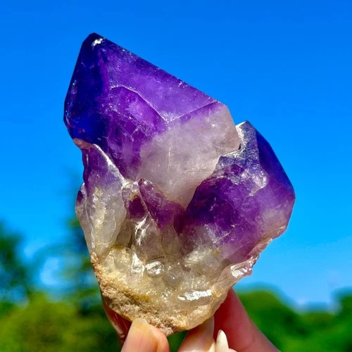 259G Natural Amethyst Cluster Quartz Crystal Backbone Mineral Specimen