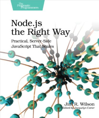 Node.js der richtige Weg: Praktisches, serverseitiges JavaScript-Taschenbuch NEU Wilson,