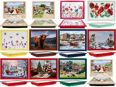 Schoßschale Geschenk Laptrays mit gepolstertem Sitzsack gepolsterter Boden - viele Designs