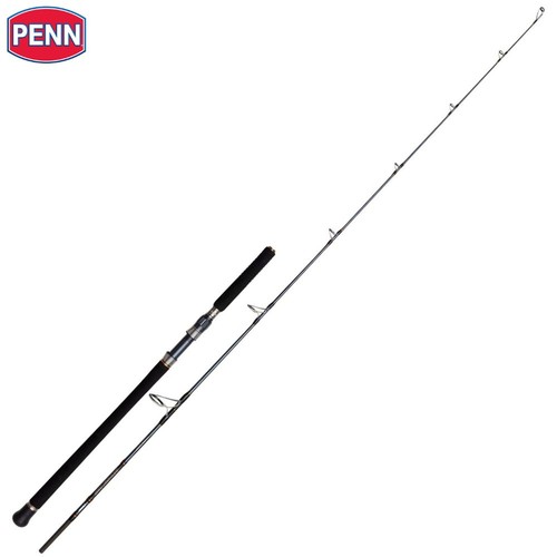PENN Canna da Colata Offshore BATTAGLIONE SOLIDO OFFSHORE 2,25m/30-180g - Foto 1 di 4