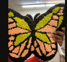 Decorative Butterfly Pillow Pink And Green Teen