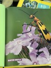National geographic kids encyclopedia set — photo 9