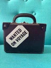 RARE Gabrielle Paddington Suitcase Lucy Peruvian Sol coin Secret Panel Hardcover