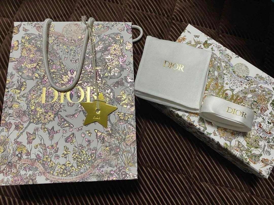 RARE Dior Ltd Edition Holiday 2023 sac en papier & coffret papillon rose 3043