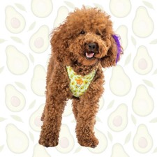 Arnés para perros con estampado de aguacate - reflectante, cómodo, ajustable Pawstar talla XL