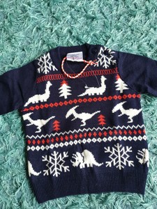 baby dinosaur jumper