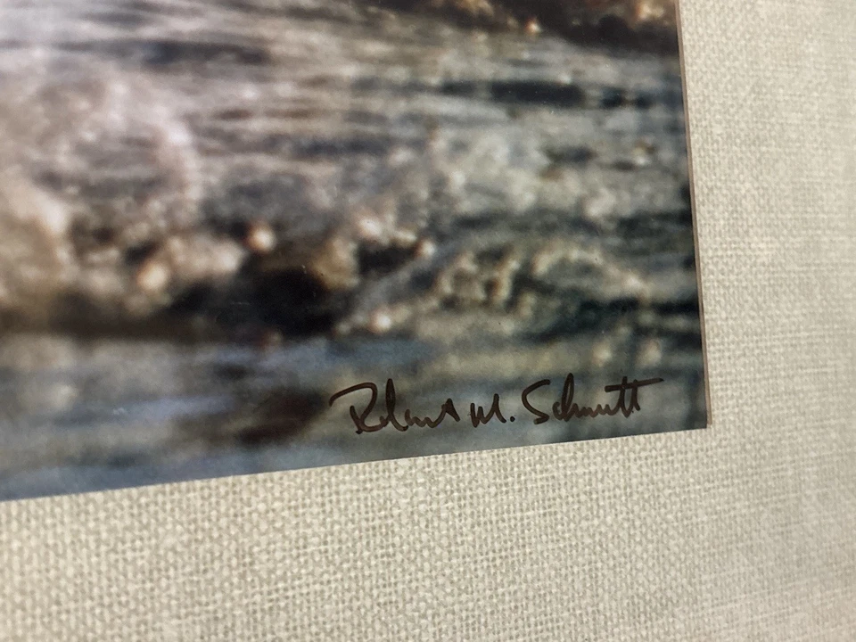 Foto impresa firmada por Robert Schmitt Skyward Audubon Society certificado de autenticidad Foto 2 de 4