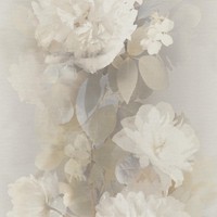 Erismann Aurora Florales Vinyl-Raufasertapete Taupe 10513-27 Neu Waschbar