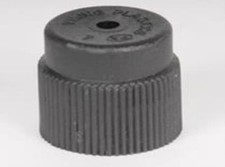 52458768 CAP, CHARGE VALVE 2003-2005 Savana